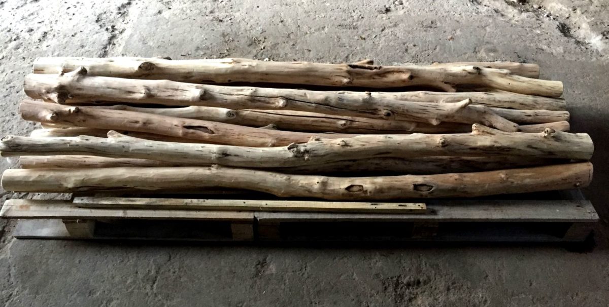 Troncos semisecos sin corteza | Woodna: Maderas Naturales