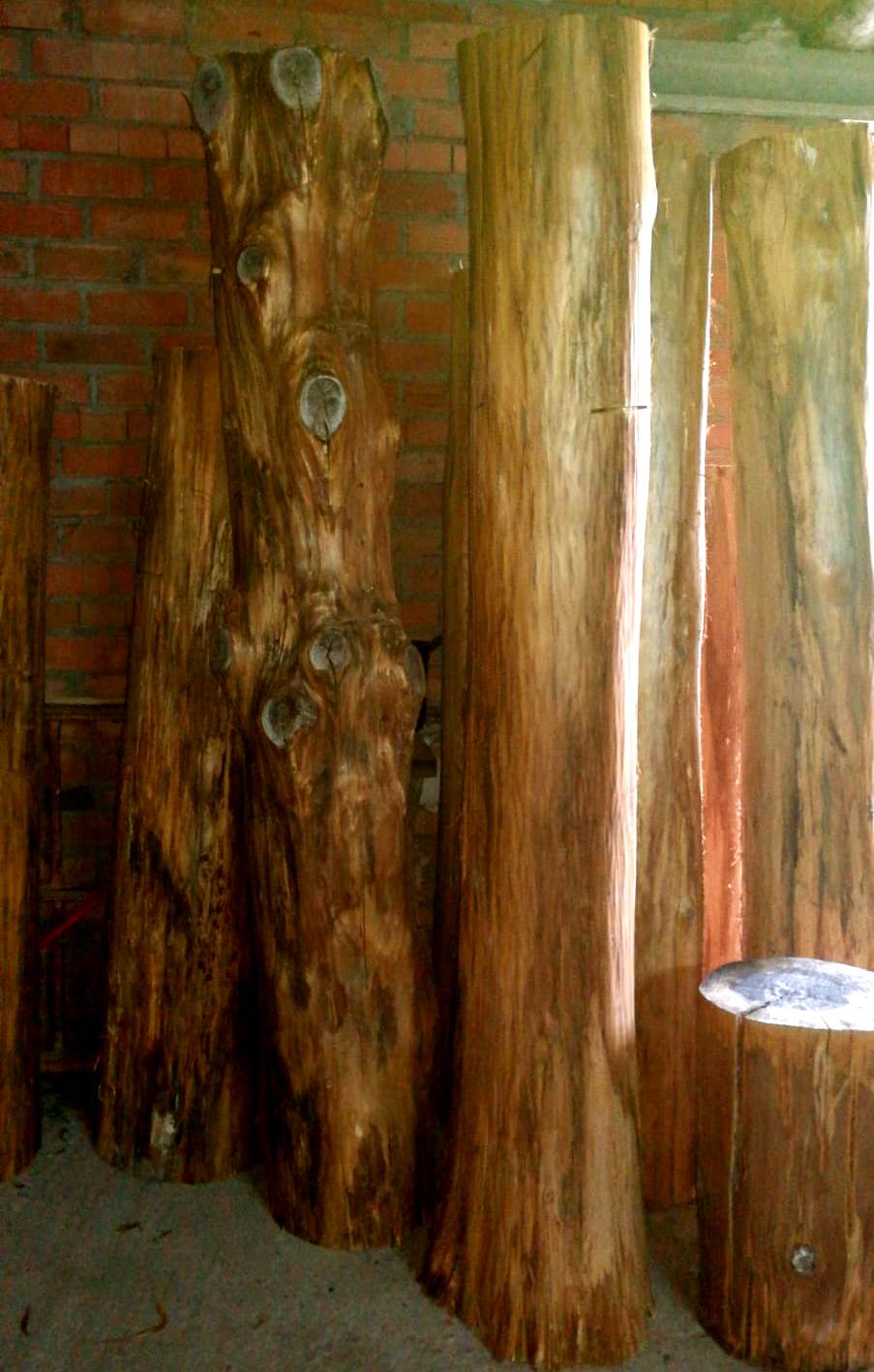 Troncos semisecos sin corteza | Woodna: Maderas Naturales