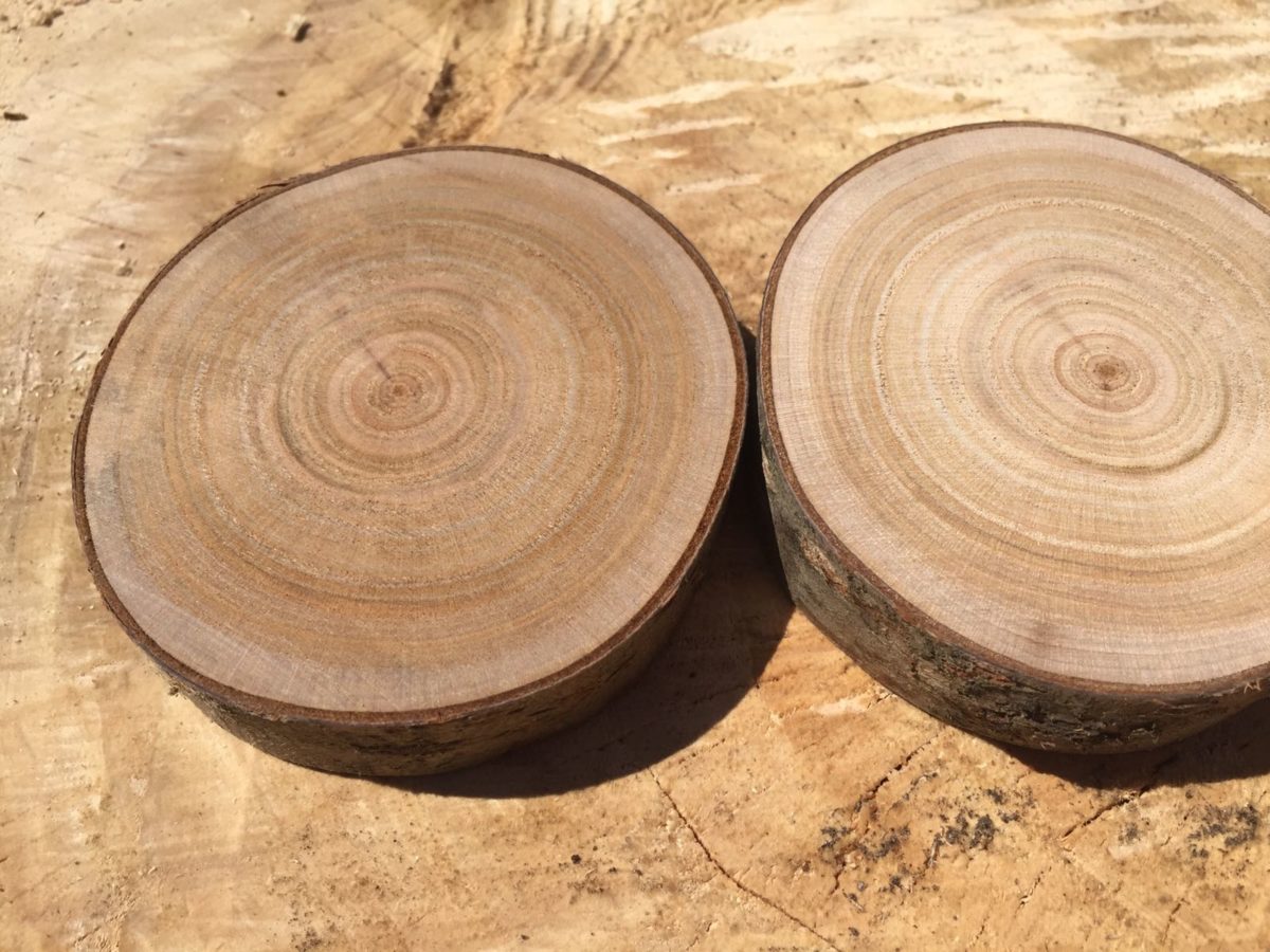 Rodajas de madera semiseca Woodna: Maderas Naturales