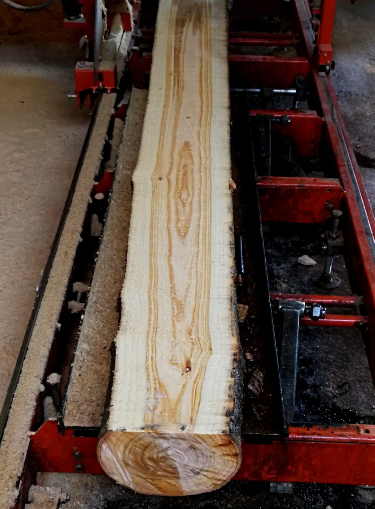 Tablas madera con cantos naturales Woodna: Maderas Naturales
