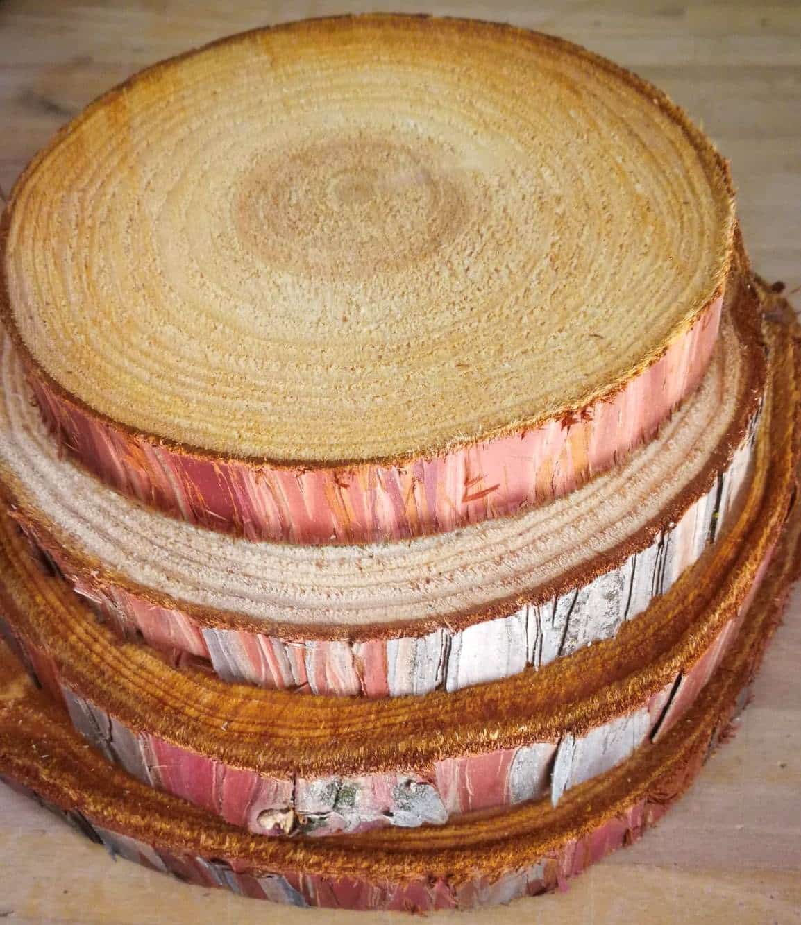 Rodajas de madera con grietas de cedro